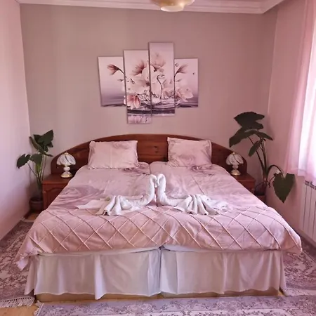 Detelina Pensjonat 3*