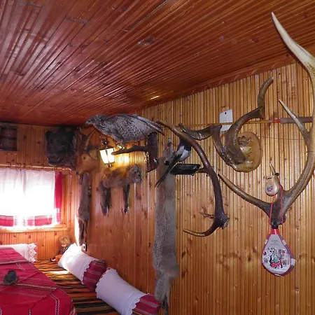 Pensjonat Detelina Devín